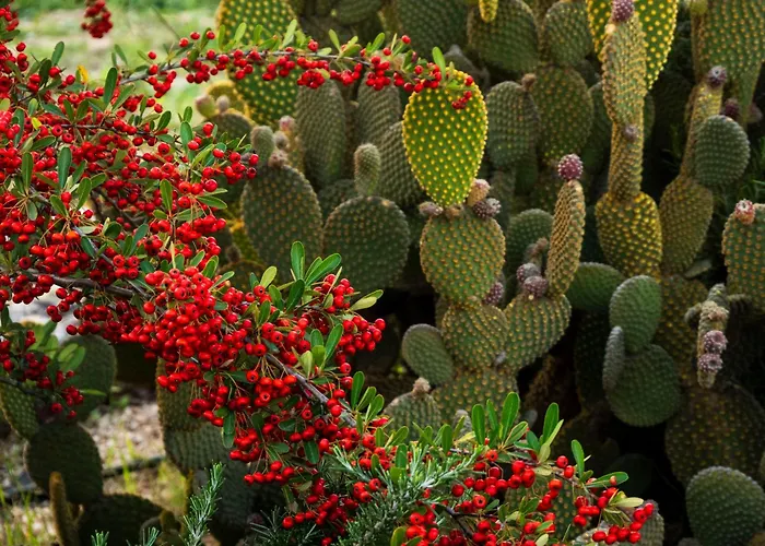 Villa privata: Masseria Del Crocifisso